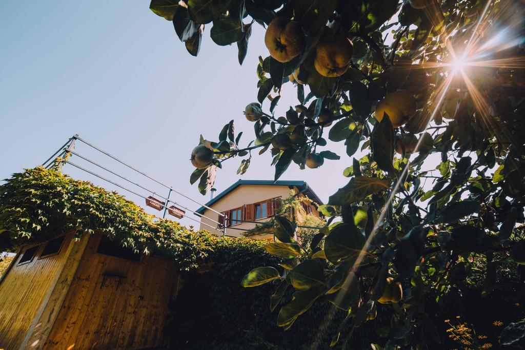 Holiday Home Castanea Praporcan Exterior foto